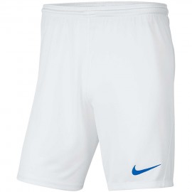 Šortai vyrai Nike NK Df...
