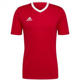 T-shirt men adidas Entrada...