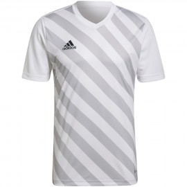marškinėliai vyrai adidas...