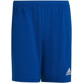 Шорты мужские adidas...