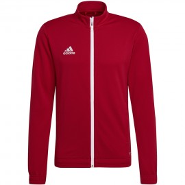 Sweatshirt men adidas...