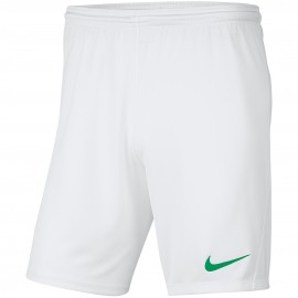 Šorti vīriešu Nike Dry Park...