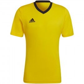 Marškinėliai vyrai adidas...
