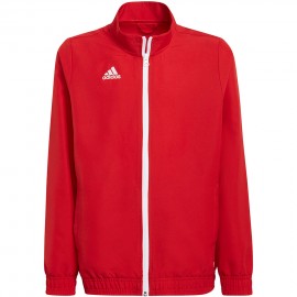 Sweatshirt for children...