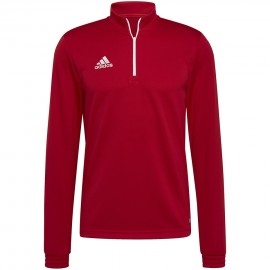 Pusa meeste adidas Entrada...
