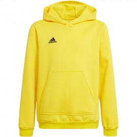 Sweatshirt for children...