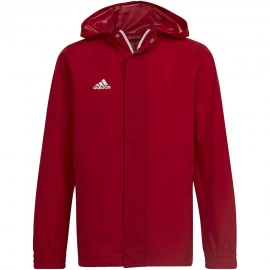 Jacket for kids adidas...