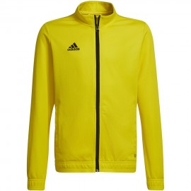 Kampsun lastele adidas...