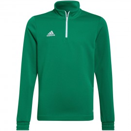 Sweatshirt for children...