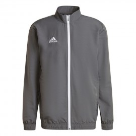 Pusa meeste adidas Entrada...