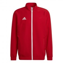 Megztinis vyrai adidas...
