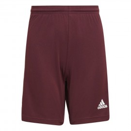 Shorts for children adidas...