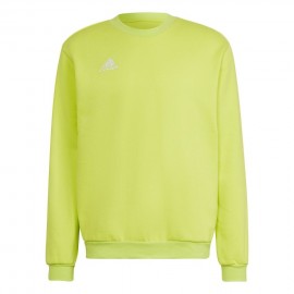 Pusa meeste adidas Entrada...