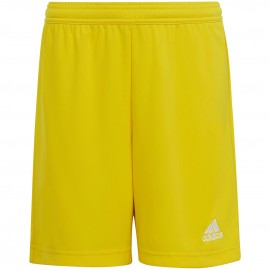 Lühikesed lastele adidas...