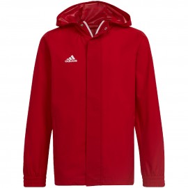 Jope lastele adidas Entrada...