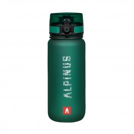 Bottle tritan Trysil 650 ml...