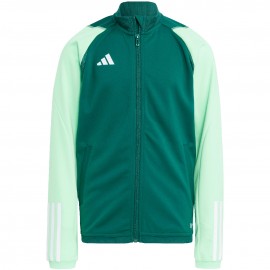 Sweatshirt for children...