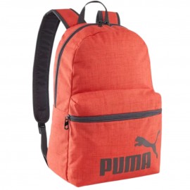 Kuprinė Puma Fazė III...