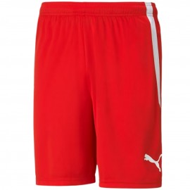 Шорты мужские Puma teamLIGA...
