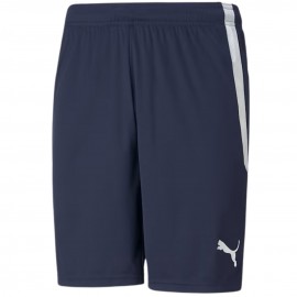 Шорты мужские Puma teamLIGA...