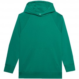 Sweatshirt women 4F F0955...