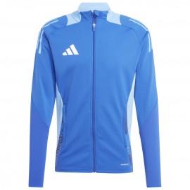 Megztiniai vyrai adidas...