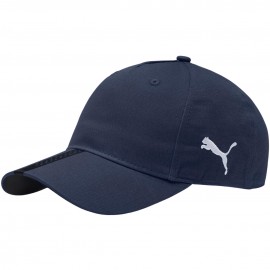 Dangtelis su vizilu Puma...