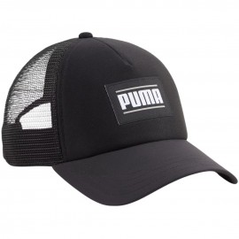 Dangtelis su vizilu Puma...