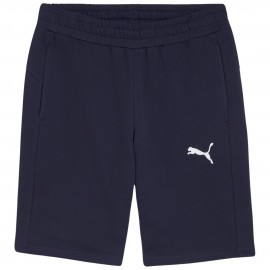 Шорты мужские Puma teamGOAL...