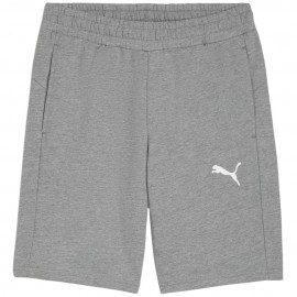 Шорты мужские Puma teamGOAL...