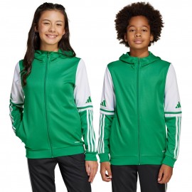 Sweatshirt for children...