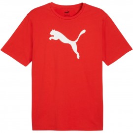 T -särk mehed puma meeskond...
