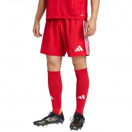Šortai vyrai adidas skonio...