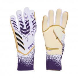 Gloves goalkeeper Adidas...
