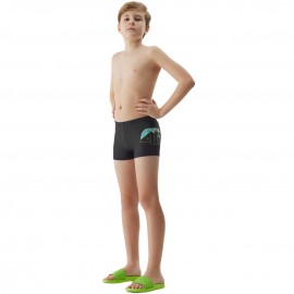 Shorts bathing for boy 4f...