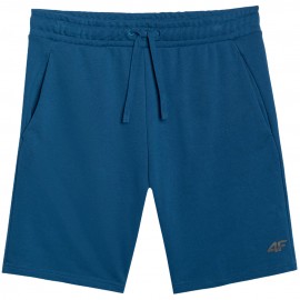 Shorts Men 4F CAS M543...