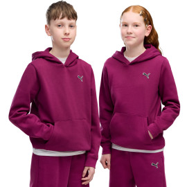 Bluza dla dzieci Puma ESS...