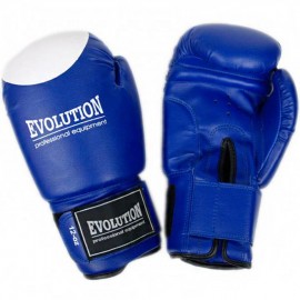 Gloves boxing Evolution...