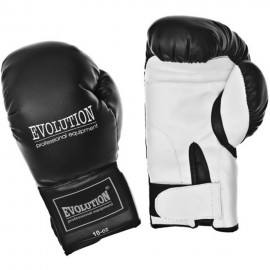 Gloves boxing Evolution...