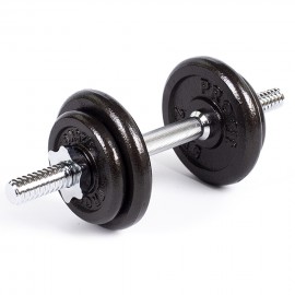 Dumbbell cast iron Profit...