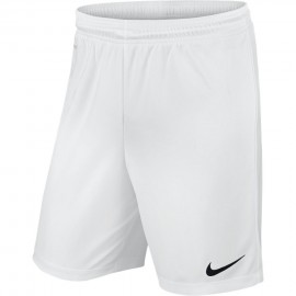 Vīrieši Nike Park II Knit...