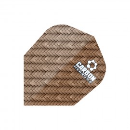 Ecēšas Elerons Carbon