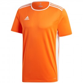 T-särk meeste adidas...