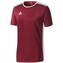 Marškinėliai vyrai adidas...
