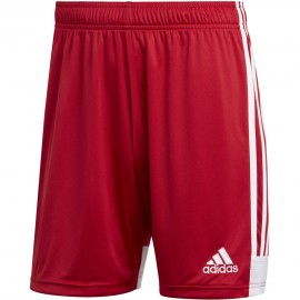 Šortai vyrai adidas Tastigo...