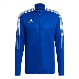 Pusa meeste adidas Tiro 21...