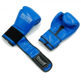  Evolution boxing gloves...