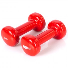 Dumbbells vinyl Profit red...