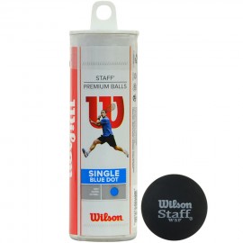 Pall squash Wilson Staff...