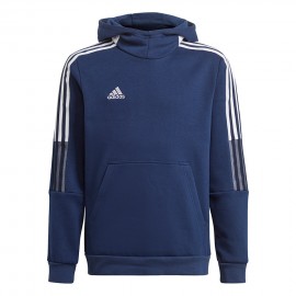 Sweatshirt for children...